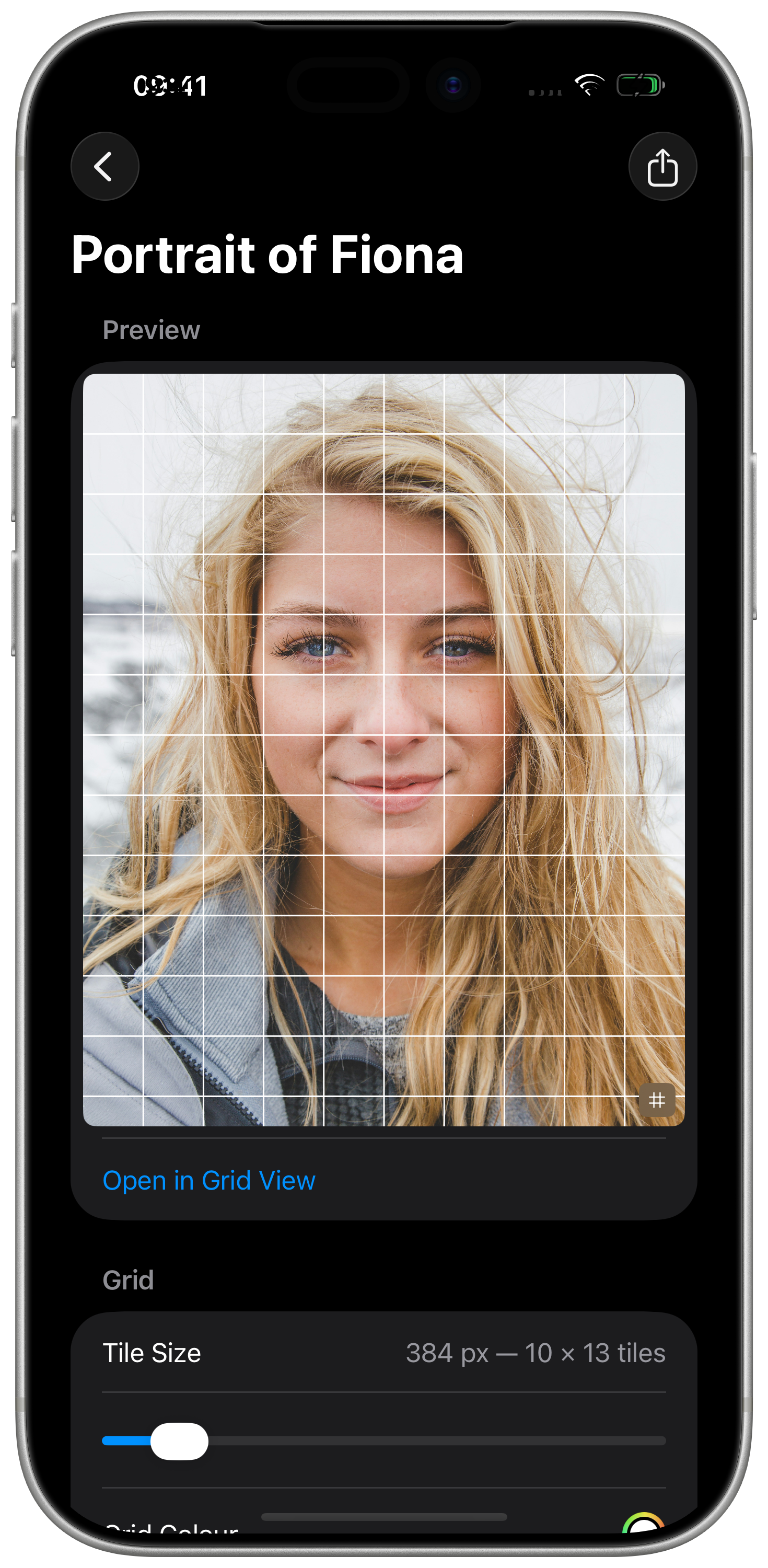 Tilewise app on iPhone showing a reference photo with a grid overlay